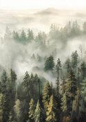 Plakat Górski Las We Mgle Akwarela