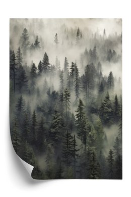 Plakat Górskie Wzgórza Pokryte Lasem We Mgle