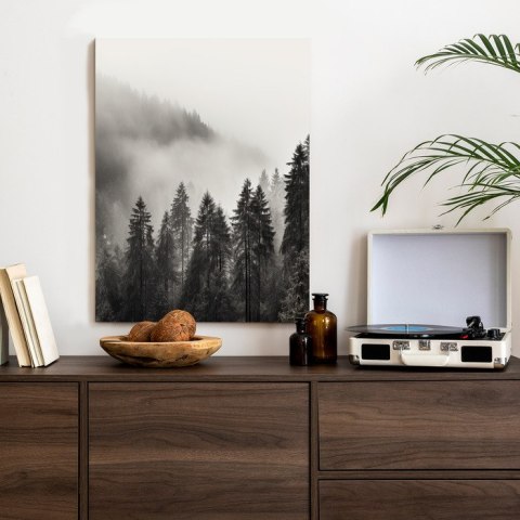 Plakat Halny Las Z Gęstą Mgłą