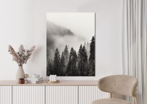 Plakat Halny Las Z Gęstą Mgłą