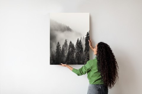 Plakat Halny Las Z Gęstą Mgłą