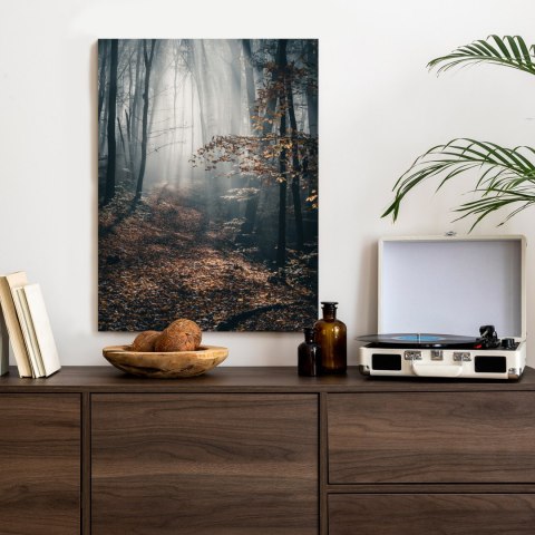 Plakat Jesienny Las Z Promieniami Słońca O Poranku