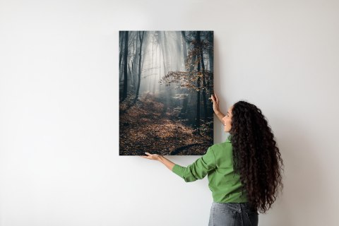 Plakat Jesienny Las Z Promieniami Słońca O Poranku