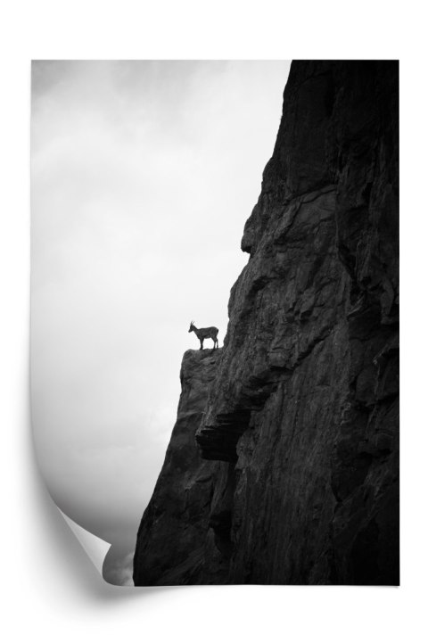 Plakat Kozioł Górski Na Skale Czarno Biały Krajobraz