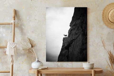 Plakat Kozioł Górski Na Skale Czarno Biały Krajobraz