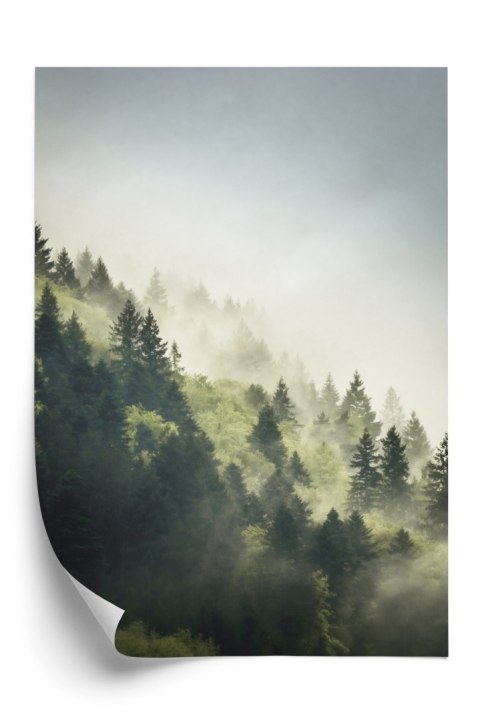 Plakat Las Na Górskich Wzgórzach We Mgle