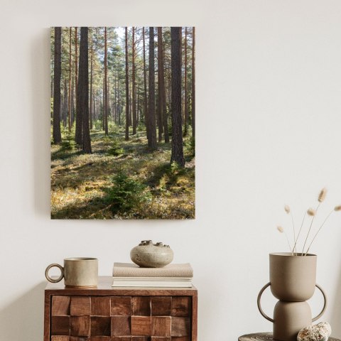 Plakat Las Sosnowy Wiosenną Porą