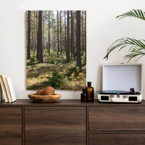 Plakat Las Sosnowy Wiosenną Porą