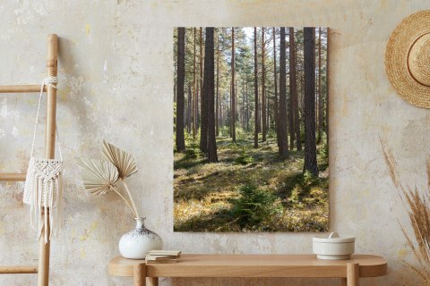 Plakat Las Sosnowy Wiosenną Porą