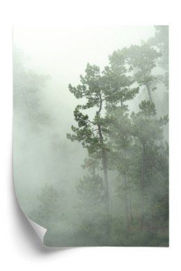 Plakat Leśny Krajobraz Drzewa We Mgle