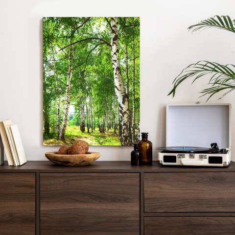 Plakat Letni Poranek W Słonecznym Lesie Brzozowym