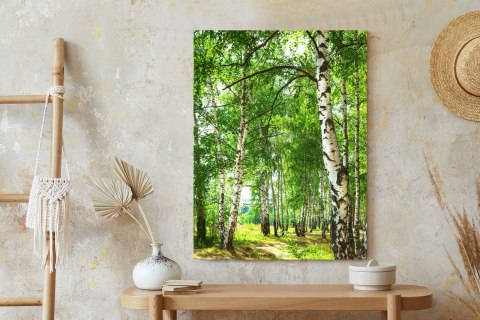 Plakat Letni Poranek W Słonecznym Lesie Brzozowym