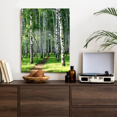 Plakat Letni Poranek W Zielonym Lesie Brzozowym