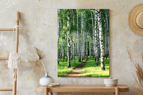 Plakat Letni Poranek W Zielonym Lesie Brzozowym