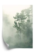 Plakat Mgła W Zielonym Lesie Natura