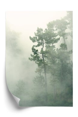 Plakat Mgła W Zielonym Lesie Natura