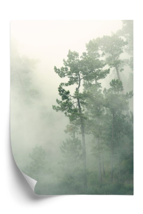 Plakat Mgła W Zielonym Lesie Natura