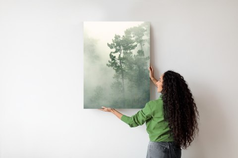 Plakat Mgła W Zielonym Lesie Natura