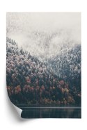 Plakat Mglisty Jesienny Las Nad Jeziorem