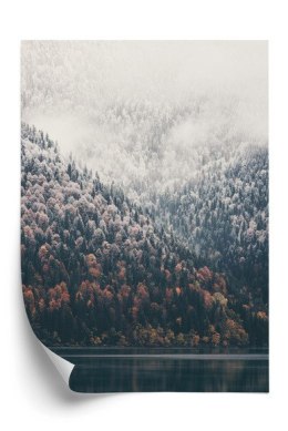 Plakat Mglisty Jesienny Las Nad Jeziorem