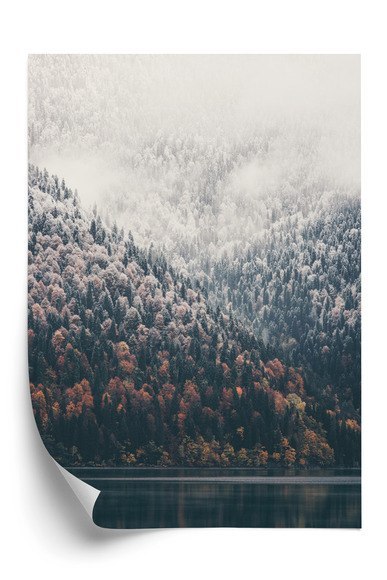 Plakat Mglisty Jesienny Las Nad Jeziorem