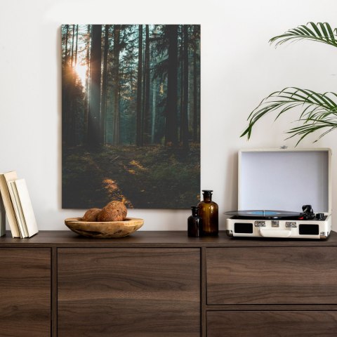 Plakat Mistyczny Letni Poranek W Mglistym Lesie