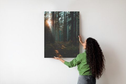 Plakat Mistyczny Letni Poranek W Mglistym Lesie