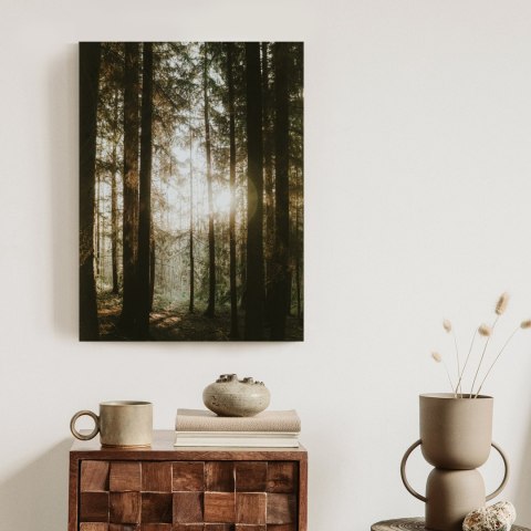 Plakat Mistyczny Poranek W Iglastym Lesie