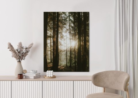 Plakat Mistyczny Poranek W Iglastym Lesie