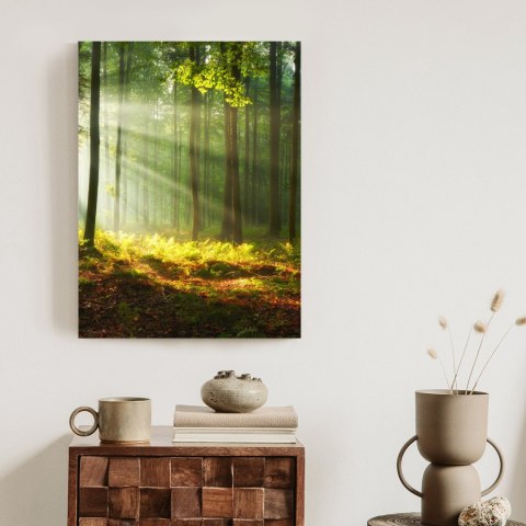 Plakat Piękny Poranek W Zielonym Lesie