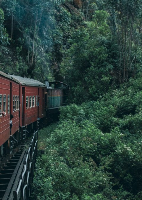 Plakat Pociąg I Plantacja Herbaty Na Sri Lance
