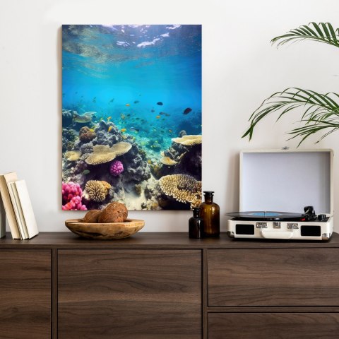 Plakat Podwodne Życie Morskie