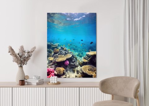 Plakat Podwodne Życie Morskie