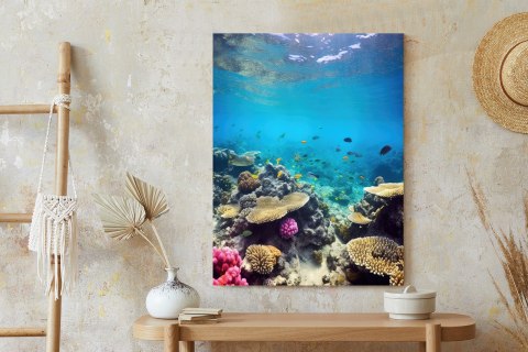 Plakat Podwodne Życie Morskie