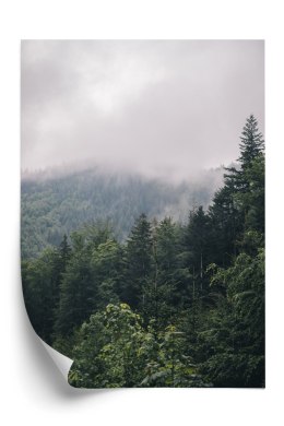 Plakat Poranek W Górach Z Mgłą Nad Zielonym Lasem
