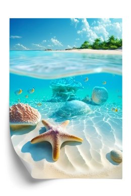 Plakat Rozgwiazda Muszle I Ryby W Krystalicznym Morzu