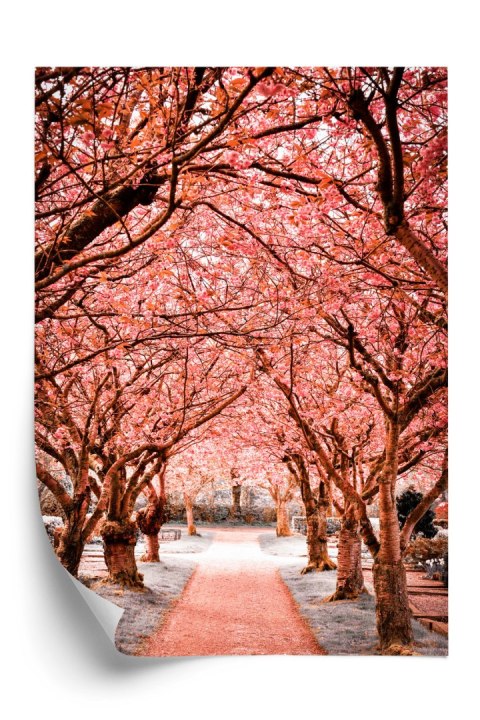 Plakat Różowe Drzewa Jesienny Krajobraz