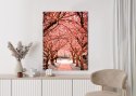 Plakat Różowe Drzewa Jesienny Krajobraz