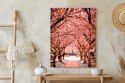 Plakat Różowe Drzewa Jesienny Krajobraz