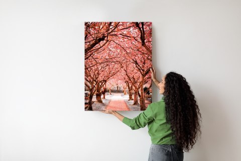 Plakat Różowe Drzewa Jesienny Krajobraz