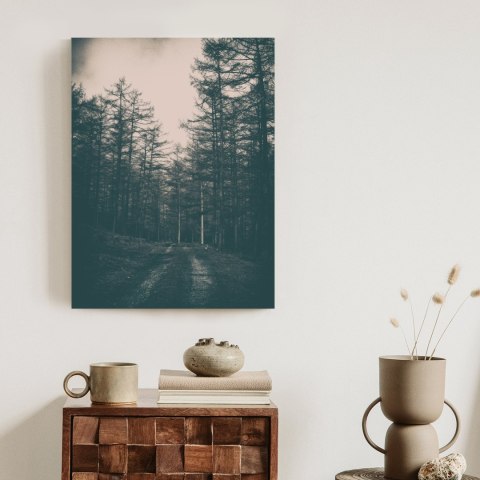 Plakat Ścieżka W Mrocznym Lesie