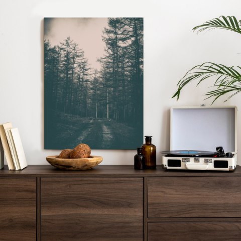 Plakat Ścieżka W Mrocznym Lesie