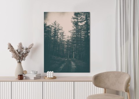 Plakat Ścieżka W Mrocznym Lesie