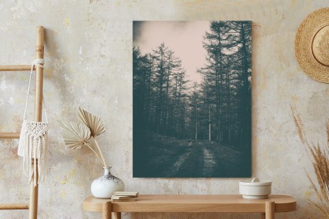 Plakat Ścieżka W Mrocznym Lesie