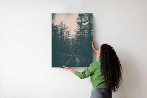 Plakat Ścieżka W Mrocznym Lesie