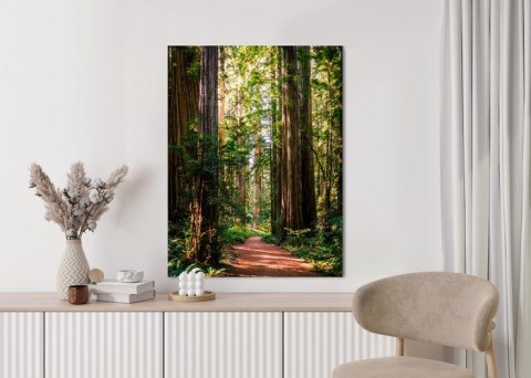 Plakat Ścieżka W Wiosennym Lesie