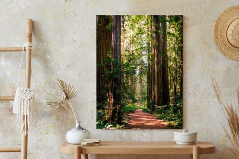 Plakat Ścieżka W Wiosennym Lesie