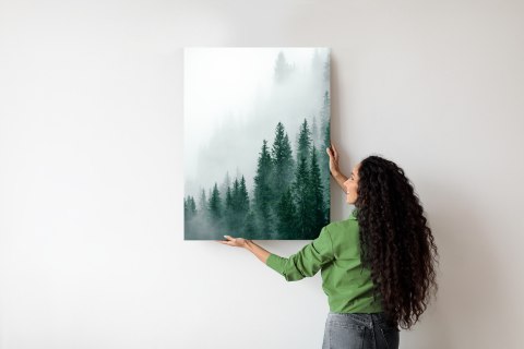 Plakat Unosząca Się Gęsta Mgła Nad Lasem Sosnowym