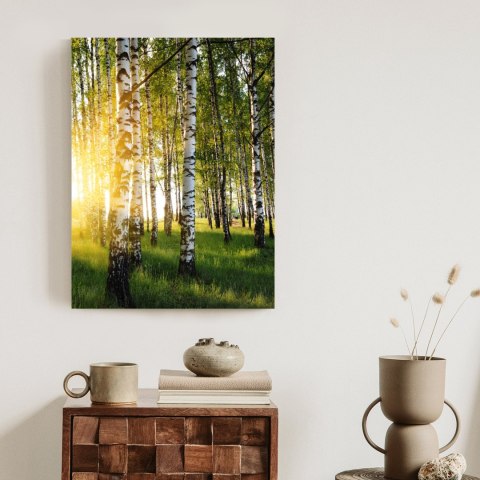 Plakat Wczesny Słoneczny Poranek W Brzozowym Gaju