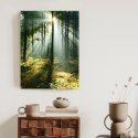 Plakat Zielony Las W Słoneczny Poranek